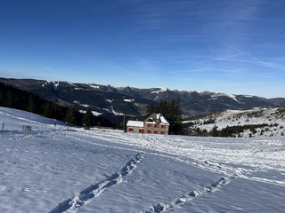 Winter Garden