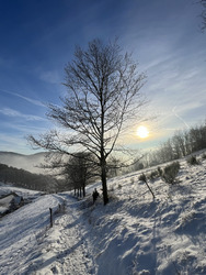 Winter Garden