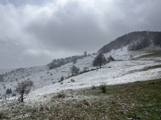 Quand les Vosges … résistent au printemps !