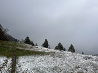 Quand les Vosges … résistent au printemps !