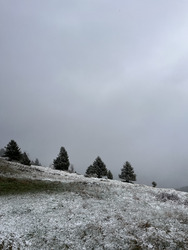 Quand les Vosges … résistent au printemps !