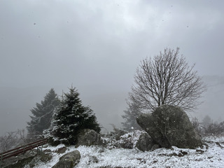 Quand les Vosges … résistent au printemps !