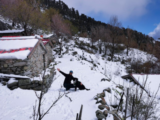 L’or blanc sur l’île de beauté 