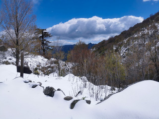L’or blanc sur l’île de beauté 