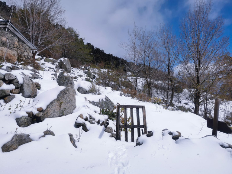 L’or blanc sur l’île de beauté 