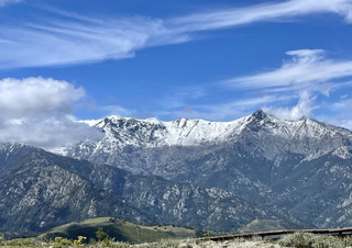 L’or blanc sur l’île de beauté 