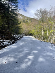 L’or blanc sur l’île de beauté 