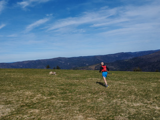 Petit weekend vosgien!
