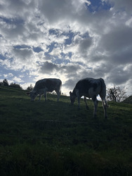 Du côté de Wasserbourg 