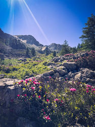 La vallée des Merveilles