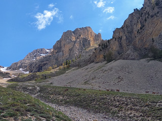 Chamois Land @ Bure