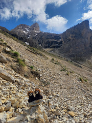 Chamois Land @ Bure