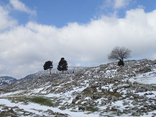 Escapade sur les hauts plateaux du Vercors