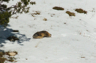 Escapade sur les hauts plateaux du Vercors