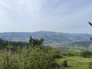 Les Vosges, mon jardin !
