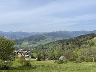 Les Vosges, mon jardin !