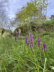 Les Vosges, mon jardin !