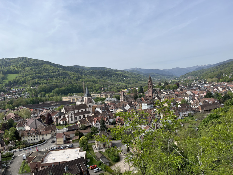 Les Vosges, mon jardin !