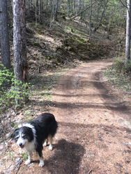 Le long course du week-end (avec chien 😀)