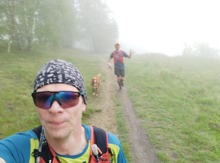Dans la brume