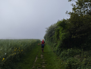 Dans la brume
