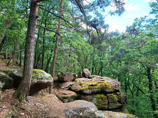 Escalade au vieu Gueberschwihr