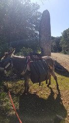 Bivouac avec notre ane
