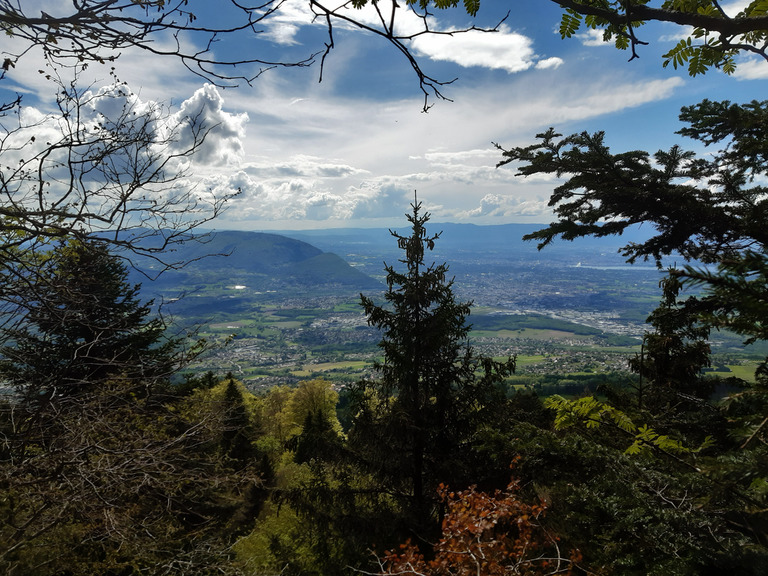 Promenade sur les Voirons
