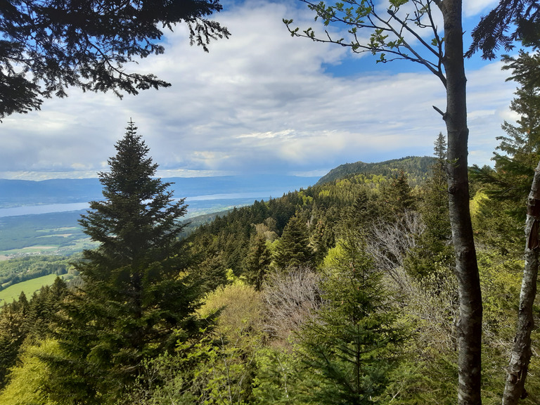 Promenade sur les Voirons