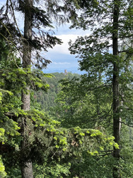 Petit tour au Taennchel 🥰