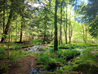 Rando autour de cascade et du lac du Fischboedle