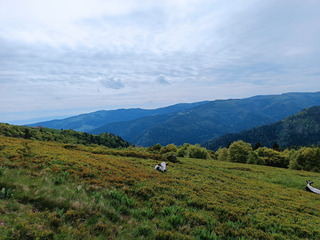 Randonnée dans les Vosges entre lacs