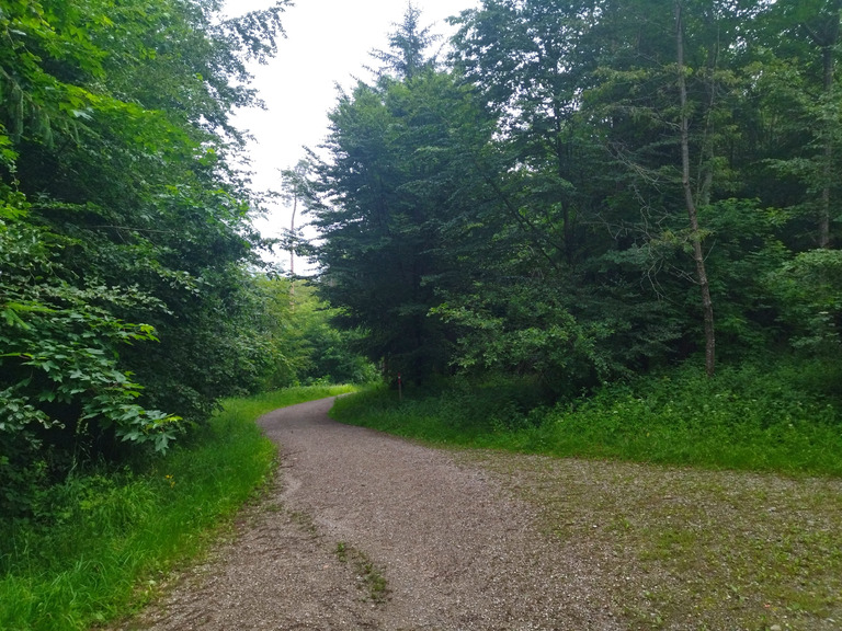 Petit tour à VTT