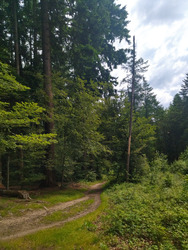 Petit tour à VTT