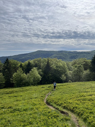 Entre forêts et crêtes…
