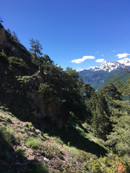 La Croix de la Salcette 