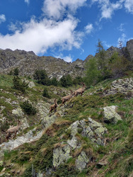 Col de l'Ardouere 