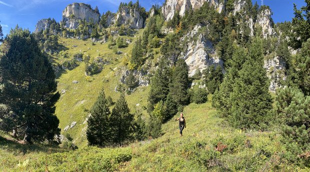 Les Sangles de Belles Ombres et Croix de l’Alpe