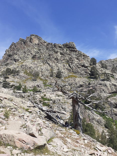 Vallée de Calacuccia