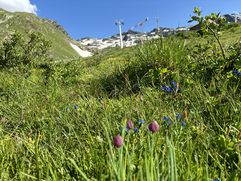 et revoilà la saison verte🌸🌼🌿