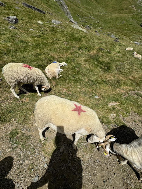 Lac bleu d’Ilhéou sous un soleil de plomb 🌞