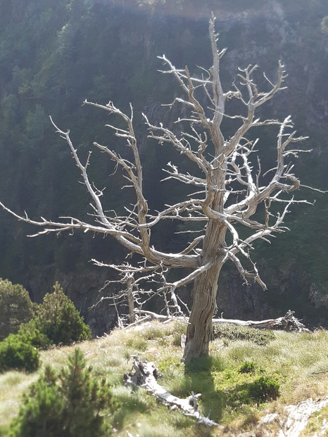 Pic d'Ourdissétou, rando variée sympa !