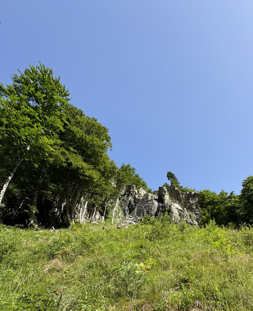 Quand le soleil cogne …