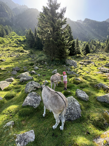 Dans la vallée du Lutour