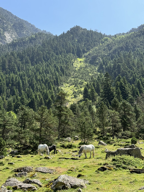 Dans la vallée du Lutour