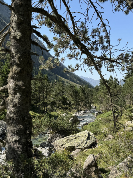 Dans la vallée du Lutour