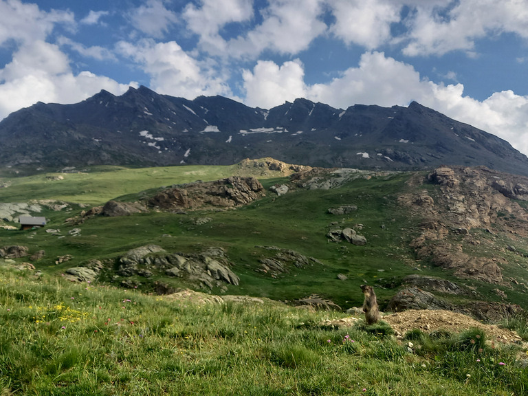 3j et 2 bivouacs entre Ubaye et Queyras 🤩