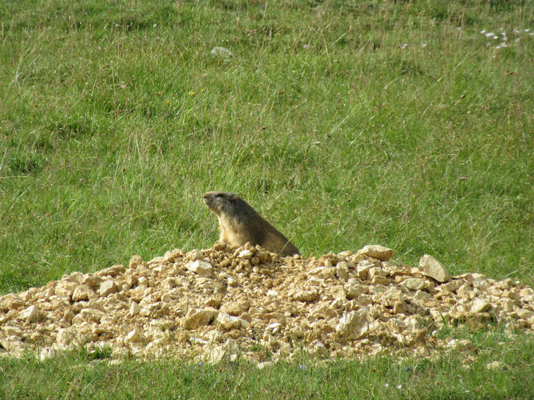 3 jours de pur bonheur en autonomie dans le Vercors