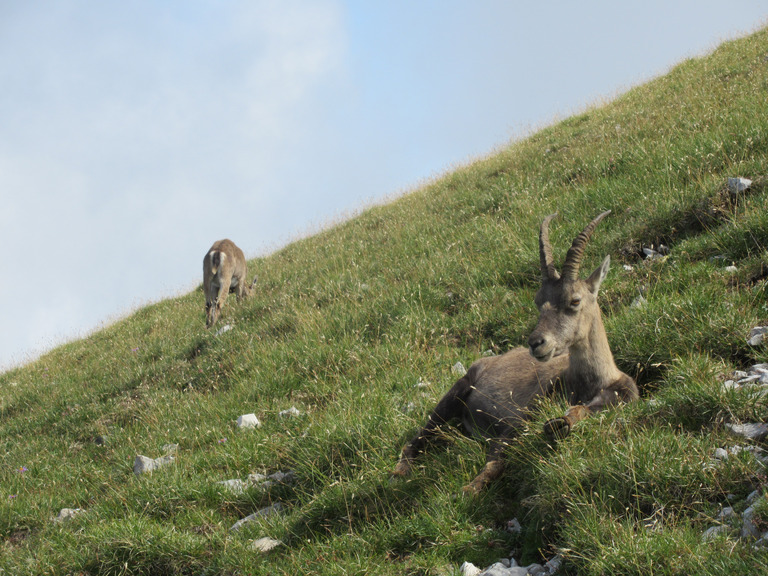 3 jours de pur bonheur en autonomie dans le Vercors