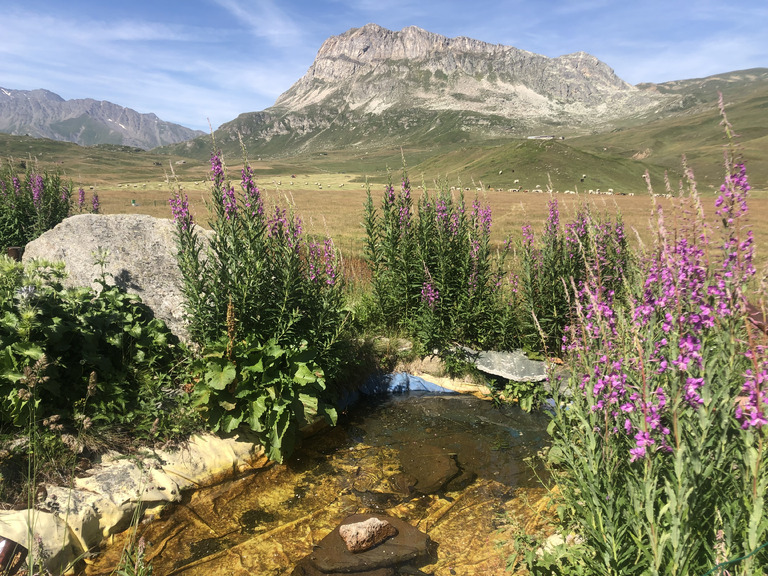 Bienvenue au refuge du Petit Mont Cenis!